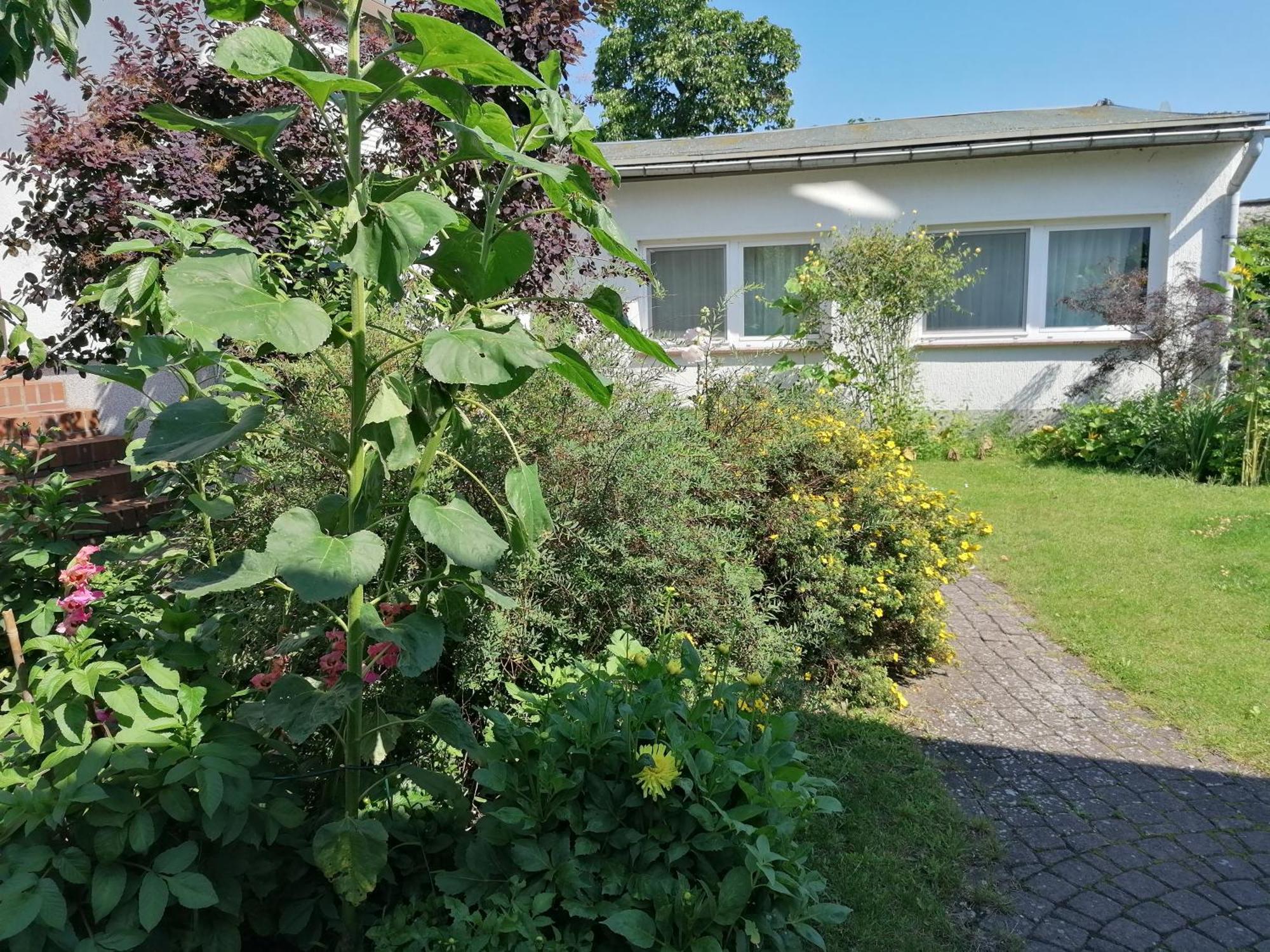 Pension Haus Anneliese Ückeritz Exterior foto