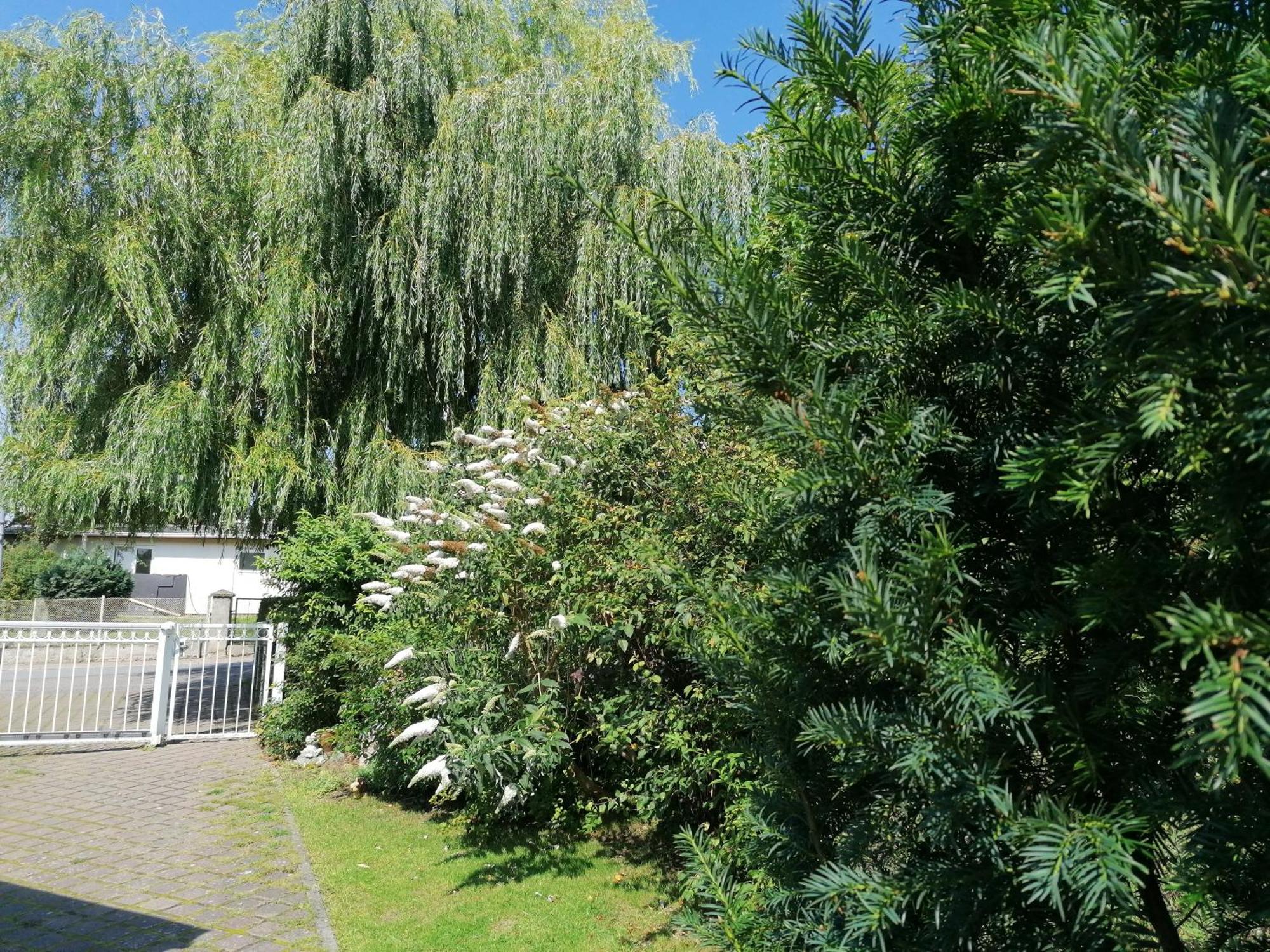 Pension Haus Anneliese Ückeritz Exterior foto